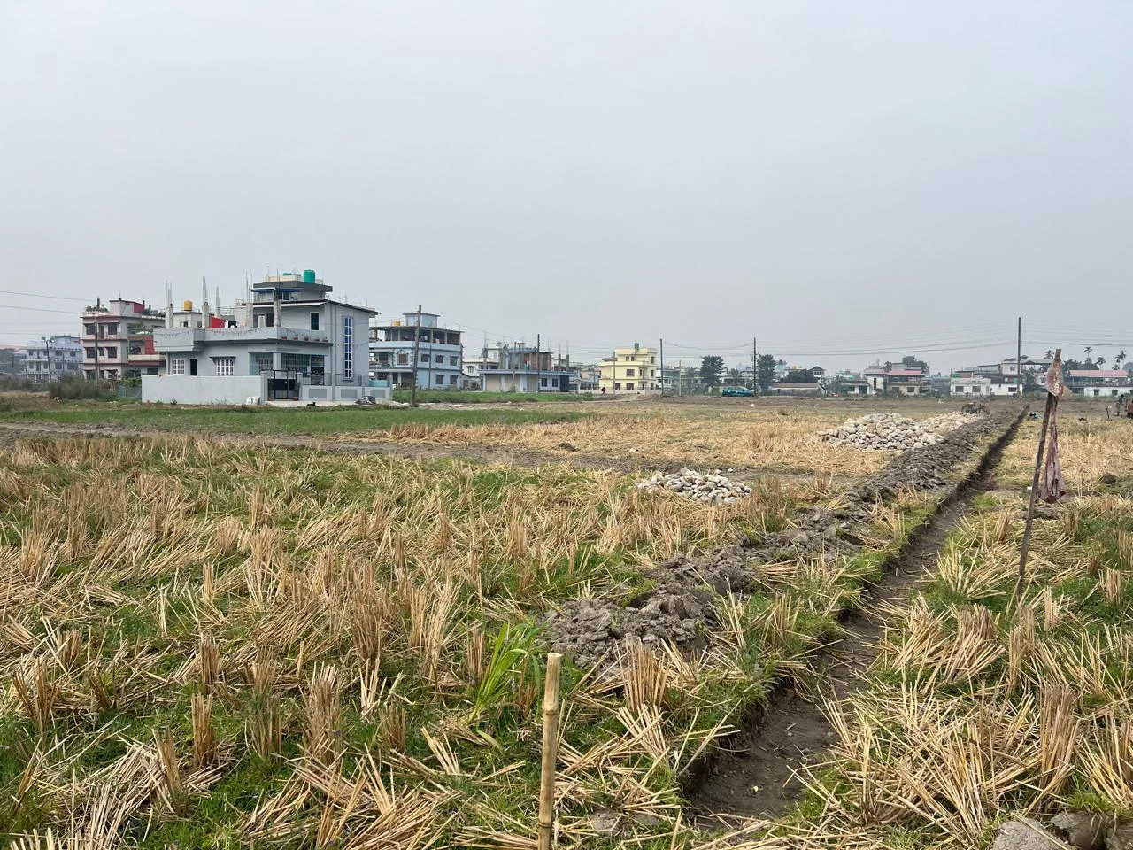 Land and the surrounding neighbourhood from our local photography collection
