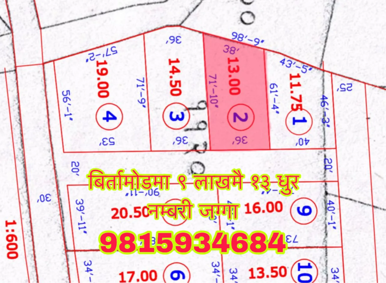 बिर्तामोडमा ९ लाखमै १३ धुर नम्बरी जग्गा